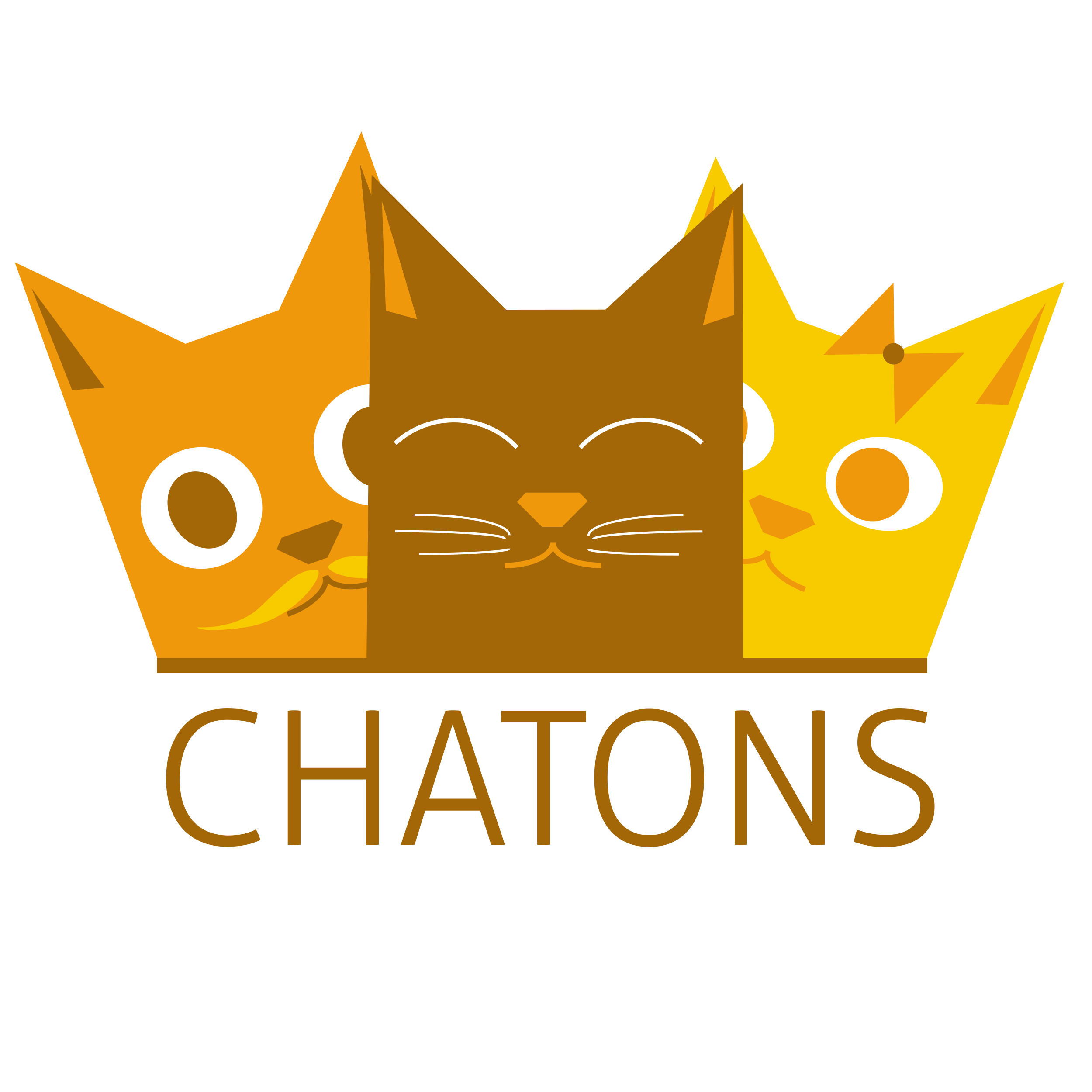 Logo du collectif des CHATONS